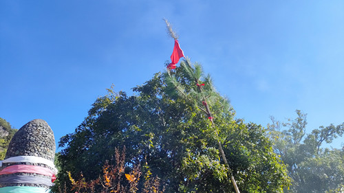 玉水寨举行祭村寨神仪式